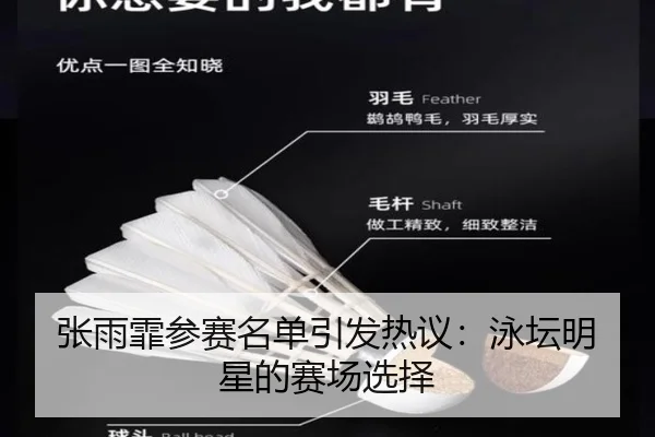 张雨霏参赛名单引发热议：泳坛明星的赛场选择